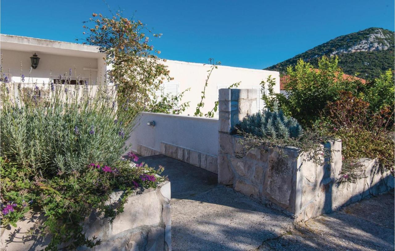 Gorgeous Apartment In Dubrava With Kitchen Εξωτερικό φωτογραφία